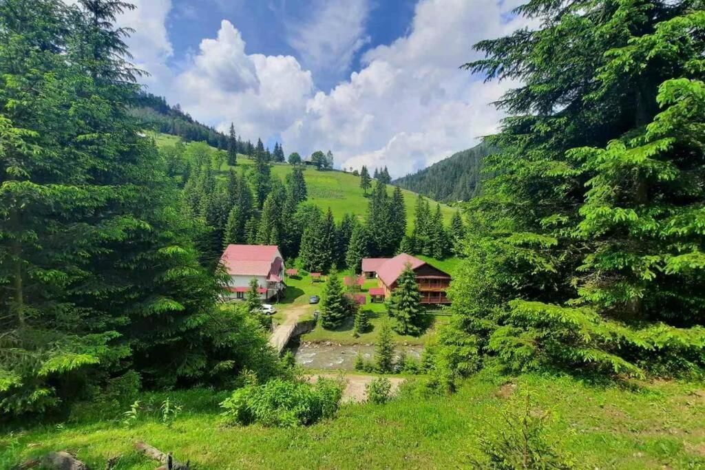 Сімейний Номер 2 Садиба У Ані ซีเนเวียสกา โปลีอานา ภายนอก รูปภาพ