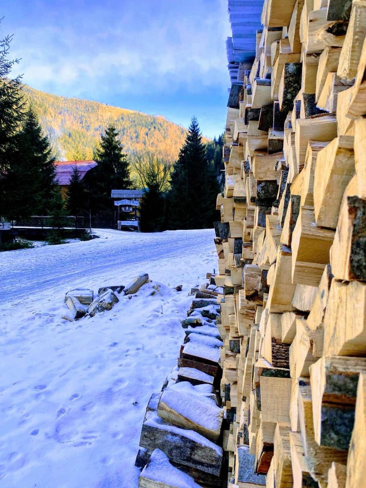 Сімейний Номер 2 Садиба У Ані ซีเนเวียสกา โปลีอานา ภายนอก รูปภาพ